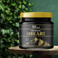 Dharaayur Himaliyan Shilajit